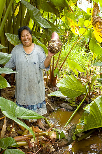 A woman from Phonpei, Micronesia holds up a giant swamp taro, a favorite traditional food in Pohnpei, Micronesia. (PHOTO COURTESY OF KP STUDIOS AND HARRIET KUHNLEIN)