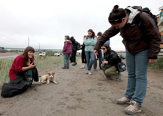 Young participants in this year's Students on Ice cruise snap photos of a stray dog in Kuujjuaq — a sure sign that they don't come from the community. (PHOTO COURTESY OF BOB MESHER)
