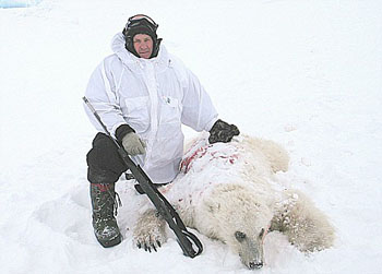 A marine biologist from Alaska says “pizzlies,” that is, crosses between polar and grizzly bears, like this bear shot on Banks Island in 2006, may become more common as the Arctic summer ice melts. 
