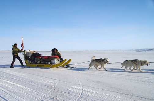 The Sirius patrol team arrives back in Alert after a week-long patrol with members of the Canadian Forces and Canadian Rangers. While soldiers from the two countries taught each other a few tricks, the dog-powered Danes did slow down the Canadians who were travelling by snowmobile. (PHOTO BY CHRIS WINDEYER)