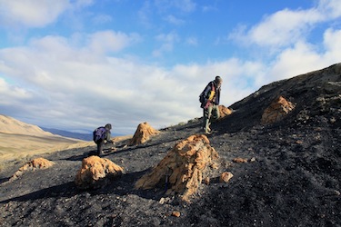 Ellesmere Island today: its Strathcona fossil forest, with its 50-million-year-old tree trunks, is typical of the High Arctic sites scientists study to better understand what a warmer climate means for that polar region.(PHOTO COURTESY OF JAELYN EBERLE)