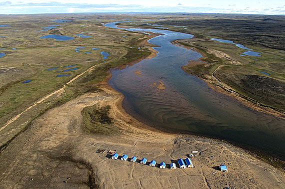 A rabid wolf entered the Nanuq exploration camp run by Peregrine Diamonds Ltd., 280 kilometres north of Rankin Inlet, last weekend. Efforts to fend off the animal resulted in the shooting injury of a camp worker. (PHOTO COURTESY OF PEREGRINE DIAMONDS)