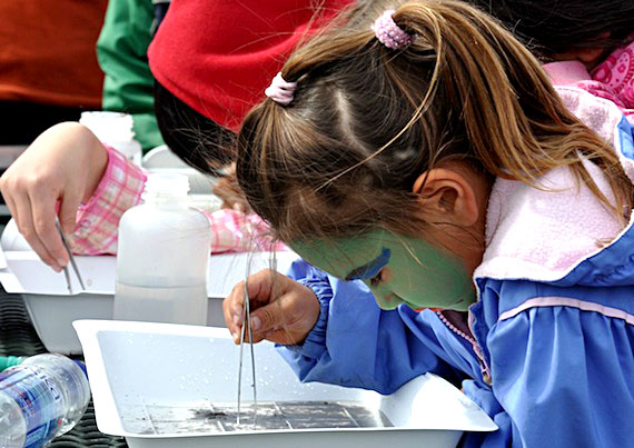 This young nature explorer checks out samples of tiny insects collected from the Sylvia Grinnell river as part of a local research project. She and
hundreds of others spent July 16 at Iqaluit's Sylvia Grinnell territorial park celebrating Parks Day. (PHOTO BY SARAH ROGERS)