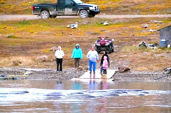 People of all ages came down to the shore in Cambridge Bay on Aug. 25 to see the incredible spectacle of pods of narwhals swimming by. (PHOTO COURTESY OF D. STERN)