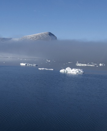 Ocean acidification could have caused the all-time greatest mass extinction on the planet — which wiped out about 90 per cent of all species 250 million years ago. (FILE PHOTO)