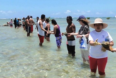 Students at Nunavut Sivuniksavut in Ottawa also learn about other indigenous cultures during their one-year program. On their 2011 cultural exchange tour to Hawaii, NS students spent an afternoon learning about the Mokauea Island Fisherman’s Association and their struggles to maintain traditions. The students pitched in to help transfer dead coral that is being used to protect the island from erosion. (FILE PHOTO)