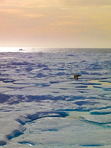 An oil spill in the Davis Strait, shown here, could be difficult, if not impossible, to quickly clean up. A new report from Oceans North called “Becoming Arctic-Ready: Policy Recommendations for Reforming Canada’s Approach to Licensing and Regulating Arctic Oil and Gas