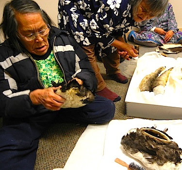 As Mary Kaniak looks on, Lena Kamoayok examines a loon-skin pouch and other items that she and other elders made during a summer camp which took place this past August near Cambridge Bay. The seven elders first discussed and researched traditional storage vessels used by local Inuinnait, and then decided to recreate these during the Kitikmeot Heritage Society's two-week Tutquumayakhaq camp. (PHOTO BY JANE GEORGE)