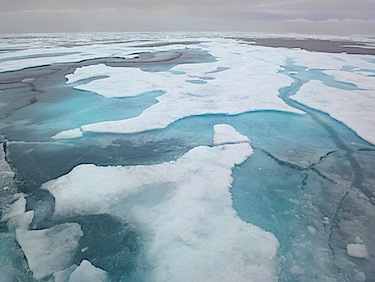 Canada is coming under fire in Durban, South Africa, for its stance on the Kyoto Protocol, the only agreement in the world that requires countries to reduce heat-trapping greenhouse gases that cause global warming. (FILE PHOTO)