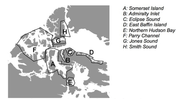 This map from a December 2010 DFO report shows the new narwhal management units which DFO wants to use as a basis for a new narwhal management plan.