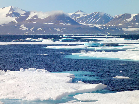 Lancaster Sound, or Tallurutiup Tariunga, as it is called in Inuktitut, is home to thousands of species including seals, polar bears, walrus, beluga whales, killer whales and narwhals. (FILE PHOTO)