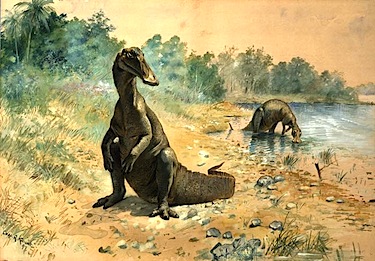 Here's an artist's depiction of a Hardosaur, a duck-billed dinosaur, which roamed what's now the North Slope of Alaska about 70 million years ago. (HANDOUT IMAGE)