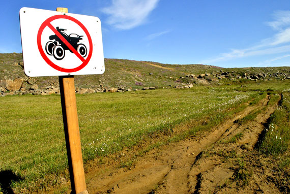 A huge gouge in the tundra that a reckless ATV owner left inside Sylvia Grinnell Territorial Park. Nunavut Parks issued a warning to ATV drivers July 23, reminding them they must observe posted speed limits and drive only on designated roads within the park. People who break those rules could be guilty of breaching Iqaluit bylaw number 557. “The marsh next to one of the park roads has been significantly damaged during the past few weeks,” Nunavut Parks said in the announcement. (PHOTO BY JIM BELL)