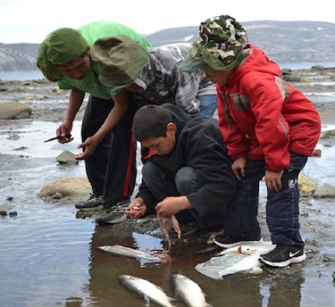Kids clean fish they caught during this past summer's Proud Reunions camp near Kangiqsujuaq. (PHOTO COURTESY OF PROUD REUNIONS)