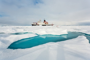 The German research icebreaker, the Polarstern, travelled to the central Arctic Ocean in the late summer of 2012 to look at ice algae. (PHOTO COURTESY OF THE ALBERT WEGENER INST.)