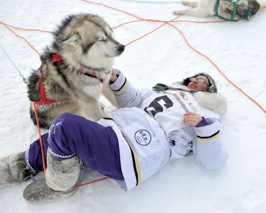 Young dog team racer Minnie Ningiuruvik relaxes near one of the dogs in the team she and her father Noah Ningiuruvik led during the 2013 Ivakkak dog team race from Kuujjuaraapik to Puvirnituq. All but two of the team's dogs were killed May 11. (FILE PHOTO)