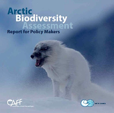 Arctic Council ministers received this policy document May 15 in Kiruna, Sweden, which says “decisive action taken now can help sustain vast, relatively undisturbed ecosystems of tundra, mountains, fresh water and seas and the valuable services they provide.” 
