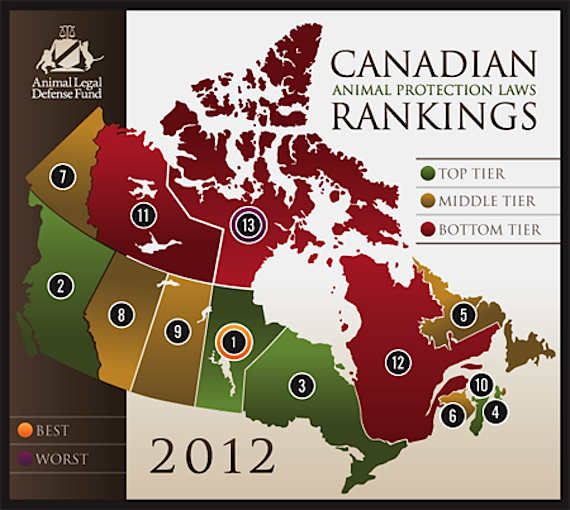 This map from the Animal Legal Defense Fund shows that Nunavut comes in last place with respect to its animal protection laws.