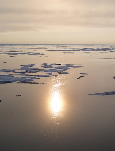As the sea ice cover in the Arctic increasingly melts, more carbon dioxide is absorbed into the water, increasing the acidification. (PHOTO BY JANE GEORGE)