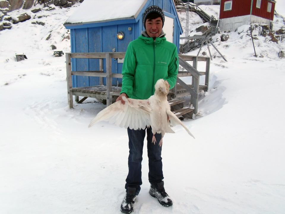 There's a Greenlandic proverb that says 
