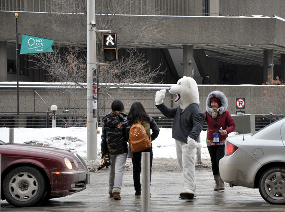 The polar bear mascot for the Northern Lights trade show took to the streets to greet drivers in downtown Ottawa Jan. 30. The conference, which highlights business and culture in Nunavut, Nunavik and Nunatsiavut, will continue at the Ottawa Convention Centre until Feb. 1. (PHOTO BY SARAH ROGERS) 
