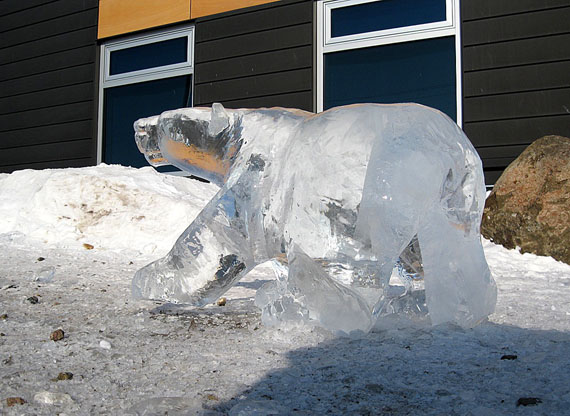 This polar bear was one of seven ice sculptures completed at Toonik Tyme’s ice sculpting contest, April 13, at the RCMP detachment. (PHOTO BY PETER VARGA)

