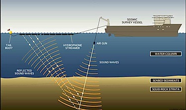 This image from the project description for the NorthEastern Canada 2D Seismic Survey shows how devices mounted on and dragged behind a vessel would send sound waves down through the waters of Baffin Bay. (FILE IMAGE)