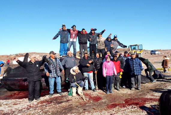 Kugaaruk’s bowhead whale hunters proudly pose with their 31-foot-long catch Sept. 1, the morning after their return from a day-long hunt. Read more on nunatsiaqonline.ca. (PHOTO COURTESY OF CHILDERIK QAYAQSAAQ)  