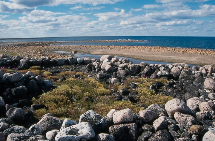 A large tent ring at Hubbard Point, Man. (PHOTO BY VIRGINA PETCH)
