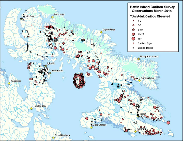 A GN map showing locations of caribou, signs of caribou, and skidoo tracks observed during aerial survey in late February and early March 2014. (MAP COURTESY GOVERNMENT OF NUNAVUT)