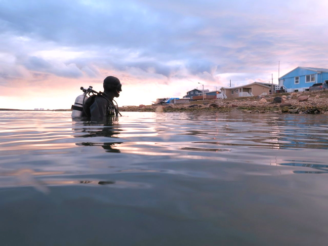 Ryan Key of Ocean Networks Canada exits the water under a colourful sunset over Cambridge Bay Aug. 16. Ocean Networks Canada, based out of the University of Victoria, operates underwater ocean observatories including one in Cambridge Bay. Crews were in that Kitikmeot community this summer to install a new observatory platform, which houses camera equipment and other sensors, as well as replace some of the other techology. The new platform has three times as many instruments as the original one installed in 2012. The observatory is helping researchers collect data on Cambridge Bay's marine environment including water and ice properties as well as on the animals and plants that live there. (PHOTO COURTESY OCEAN NETWORKS CANADA)