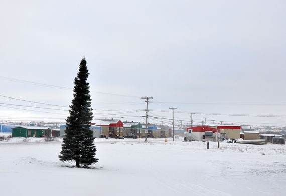 It's beginning to look at lot like Christmas in Kuujjuaq, where the Northern Village has flown in and set up its holiday tree. Every year, the Nunavik community brings in a spruce tree by helicopter, set up next to its municipal offices. The tree doesn't look Christmasy quite yet though; Kuujjuamiut are invited to attend the official tree lighting ceremony Dec. 4 at 4:00 p.m. (PHOTO BY SARAH ROGERS) 
