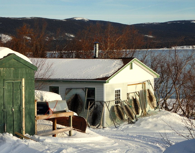 This could easily be a scene in Nunavut, but the trees give it away. Sealskins dry in the sun at the home of hunter and carver Derrick Pottle in Rigolet, Nunatsiavut. Nunatsiavut hunters regularly harvest seals and dry the skins for personal use or sale. Through a program announced last year, the federal government is now offering money to provincial and territorial government bodies, and other agencies, to promote and market the Canadian Indigenous sealskin industry to countries in the European Union. (PHOTO BY CHARLIE FLOWERS)