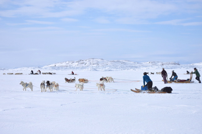 Dog teams dash across the sea ice in Iqaluit during dog sled races held every year as part of the annual Toonik Tyme spring festival. Toonik Tyme got underway April 15 with an opening ceremony which featured music, throat-singing and the naming of this year's honorary Toonik — Pitseolak Alainga. (PHOTO BY STEVE DUCHARME)