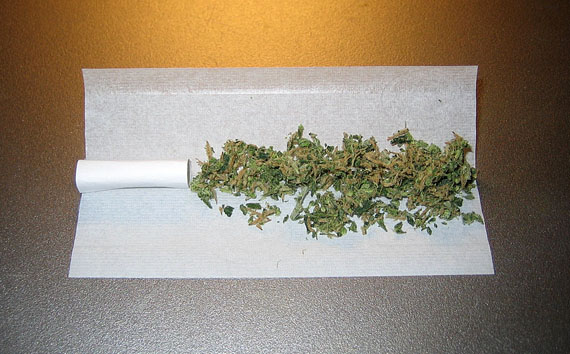 An unrolled marijuana joint, with a handmade paper filter on the left. Thanks to a combined operation by the RCMP and Canada Post, 46 pounds were removed from Nunavut's regular supply of marijuana over March and April. The federal health minister, Jane Philpott, announced April 20 that her government will introduce legislation next year to legalize and regulate marijuana. (WIKIMEDIA COMMONS IMAGE)