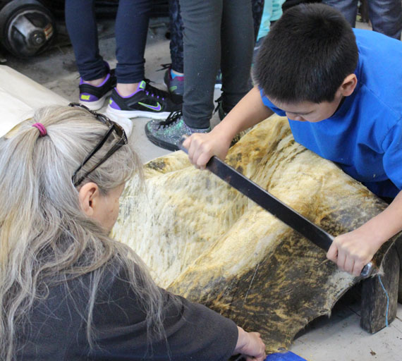 A student at Jaanimmarik high school in Kuujjuaq cleans seal skin with the guidance of a local elder March 22, as part of the school’s culture day. The school revived the once-annual cultural celebration this year, offering sewing and beading workshops, Inuit and Dene games, bannock, pitsik and tea-making classes and story-telling to the school population. (PHOTO BY JEFF CREAMER)