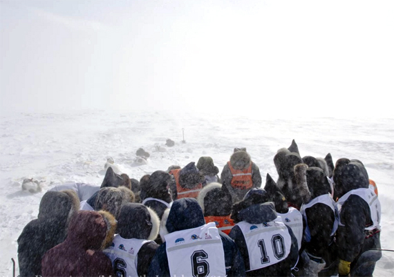 Ivakkak mushers gather in a circle to pray on the race route April 6. With blizzard and whiteout conditions along Ungava Bay, dog teams travelled to reach Aupaluk, although the race was officially suspended for the day. When Tasiujaq mushers Billy Cain and his son Charlie hadn't arrived by the end of the day, a search and rescue team set out to locate them. Ivakkak race marshall Johnny Oovaut said the father and son were found early April 7. The race is scheduled to resume April 7, leaving from Aupaluk. (PHOTO BY PIERRE DUNNIGAN/IVAKKAK) 