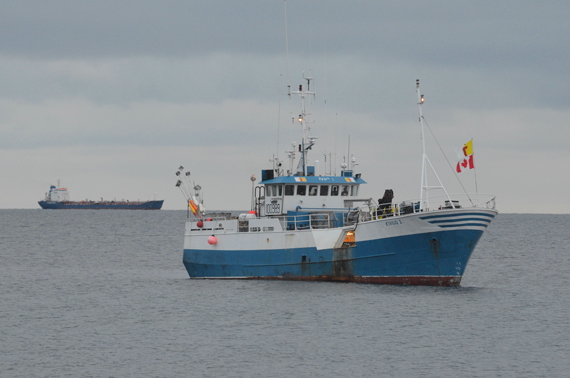A new study, based on data gathered by researchers aboard the Kiviuq I last year, will examine the possibility of commercial fisheries off Baffin's east coast. (FILE PHOTO)