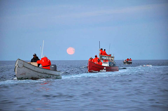 Part of the flotilla of six boats and about two dozen hunters that participated in Igloolik's 2016 bowhead whale hunt. (PHOTO COURTESY OF GEORGE QULAUT)