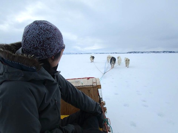 Siu-Ling Han dog teams across the ice outside Iqaluit this past spring. (PHOTO/FACEBOOK)