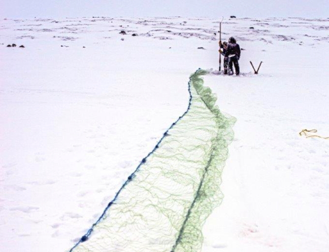 Derek Zawadski chisels a hole through ice with an ice jigger at Diana Lake, about 40 kms inland from Rankin Inlet, Nov. 12 with fellow fisher and hunter Robert Putulik. Once holes are completed, Zawadski and Putulik can lower the net through the ice into water in the hope of catching cisco (lake herring), lake trout and Arctic char. (PHOTO BY PUTULIK PHOTOGRAPHY)