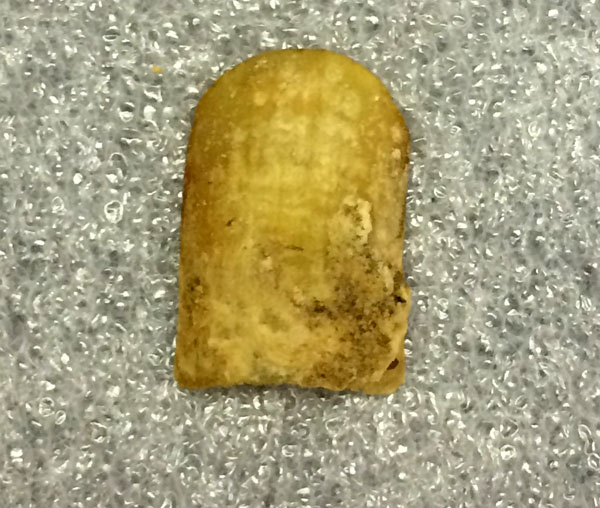A nail recovered from crewman John Hartnell's body. (PHOTO COURTESY OF JENNIE CHRISTENSEN)
