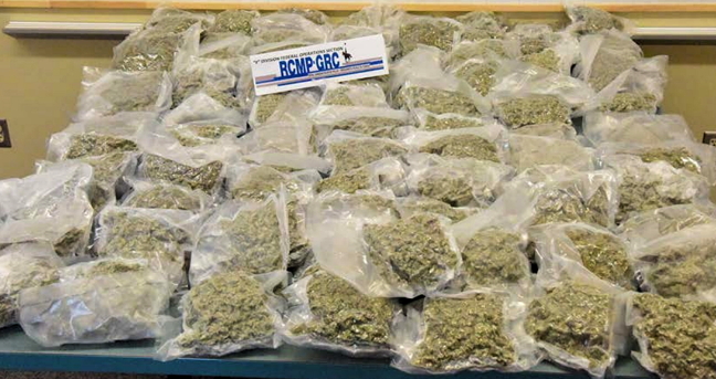 This is what 40 lbs of vacuum-packed pot looks like. RCMP 