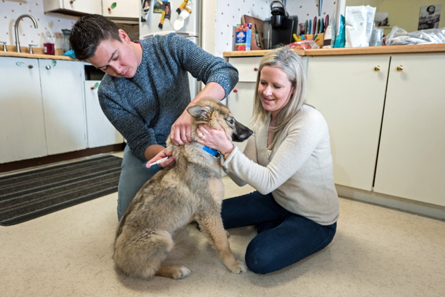 Tom Rutherdale and Elizabeth Hall, board members of Northern Canine Rescue in Cambridge Bay, vaccinate Summer, a six-month-old Shepherd/Husky cross owned by Talia Maksagak on March 11. Northern Canine Rescue, formerly Diamonds in the Ruff, is a not-for-profit organization that helps bring veterinary care, medical treatment, shelter and new homes to dogs in Cambridge Bay. They hope to one day expand services to other Nunavut communities. You can donate to their cause through their gofundme.com fundraising page. (PHOTO BY DENISE LEBLEU IMAGES)
