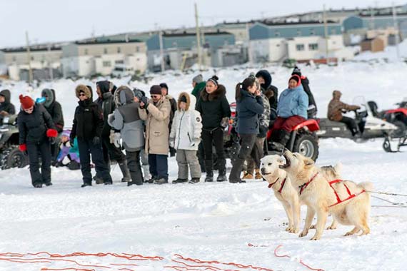 Let’s go already! A lead dog howls in anticipation at the starting line of Ivakkak 2017, which departed from Umiujaq March 28. The race’s 13 participating teams made it to their first checkpoint 53 kilometres up the Hudson coast, while teams are expected to complete another 80 kilometres March 29. (PHOTO BY P. DUNNIGAN/MAKIVIK)