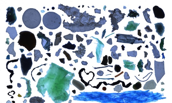 This collage of Arctic Ocean plastic, assembled by Andres Cozar, the lead author of a new study 