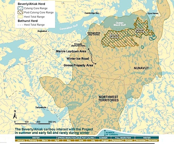 This map from Sabina's new wildlife plan shows the distribution of the three herds around the planned Back River gold mine in western Nunavut.