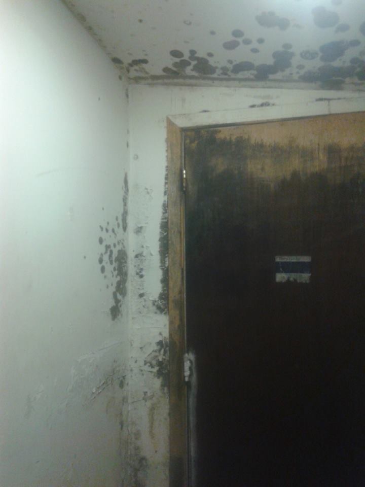 Joanna Oolateeta posted this photo on Facebook of black mould growing in her son’s home. (PHOTO COURTESY OF JOANNA OOLATEETA)