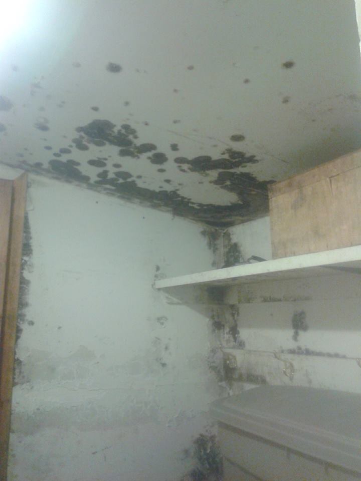 The Nunavut Housing Corporation says mould in this public housing unit will be fixed after local housing authority staffers are trained in remediation measures in February. (PHOTO COURTESY OF JOANNA OOLATEETA)