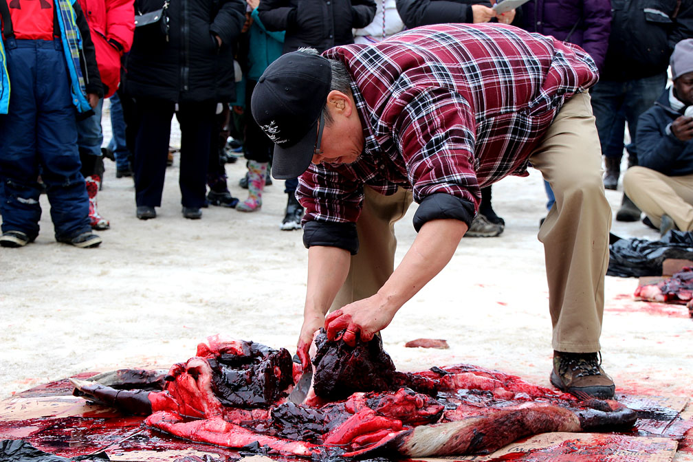 Eemeelayou Arnaquq competes in the Toonik Tyme seal skinning contest in Iqaluit yesterday. Jimmy Nowdlak won the three-person competition and Imoona Karpik also participated. After the seal skinning contest, Toonik Tyme moved into the curling rink for a closing ceremony. This year's spring festival ran from April 12 to April 22. (PHOTO BY BETH BROWN)
